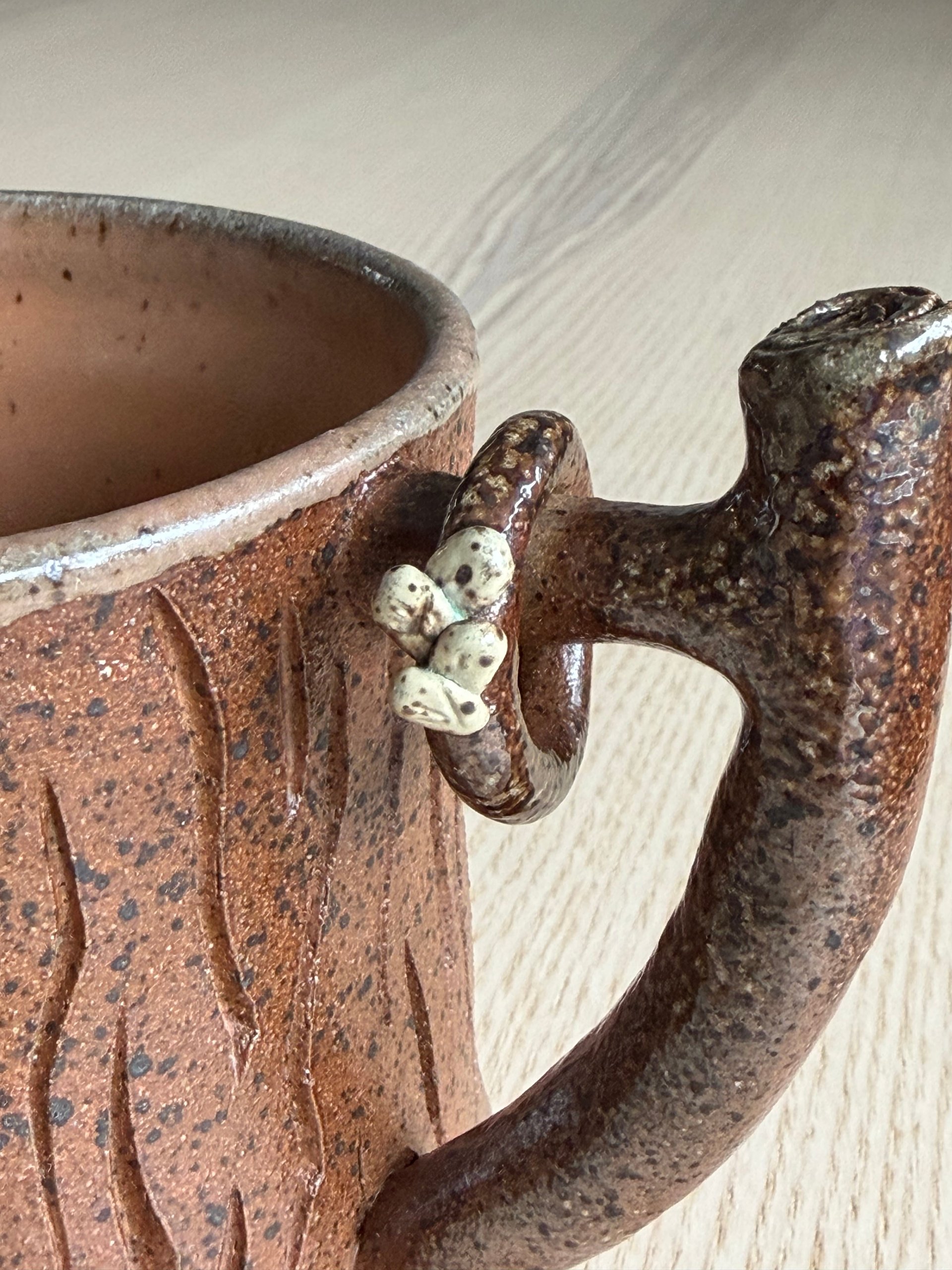 Tiny mushrooms growing along the branch handle